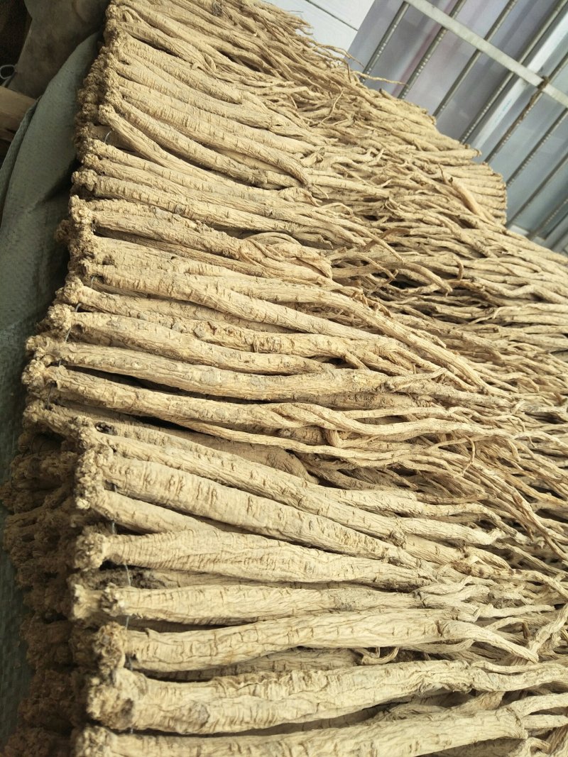 白条党参干货特大条，价格合理，欢迎来电