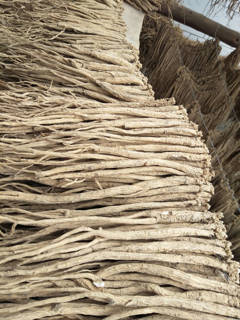 白条党参干货特大条，价格合理，欢迎来电