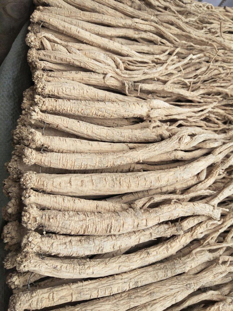 白条党参干货特大条，价格合理，欢迎来电