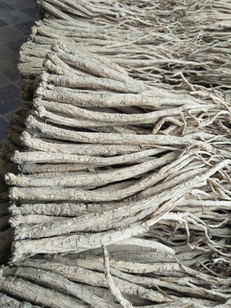 白条党参干货特大条，价格合理，欢迎来电
