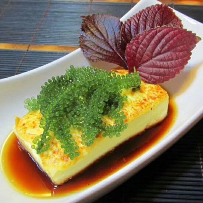 海葡萄山东淄博新鲜海葡萄干货海澡海洋蔬菜