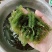 海葡萄山东淄博新鲜海葡萄干货海澡海洋蔬菜