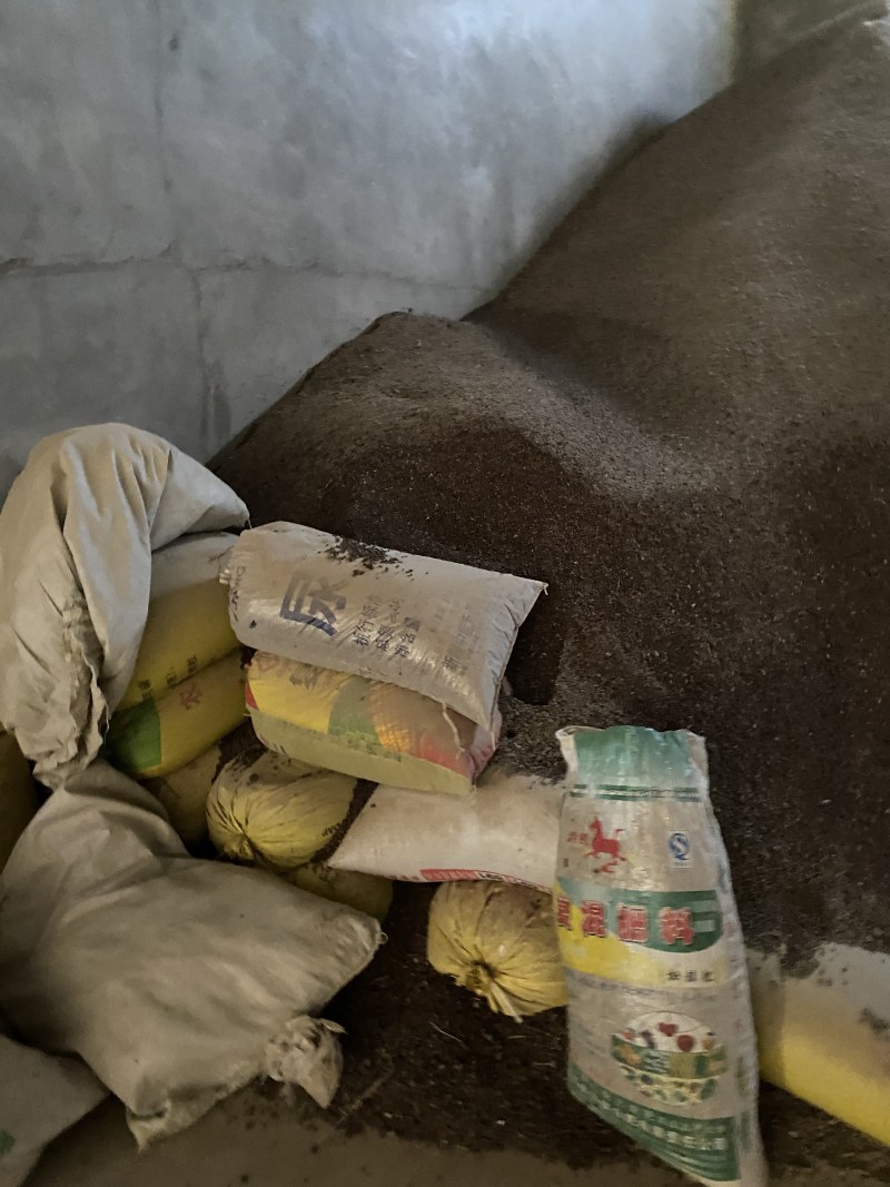野生酸胖沙樱桃白刺果大量现货