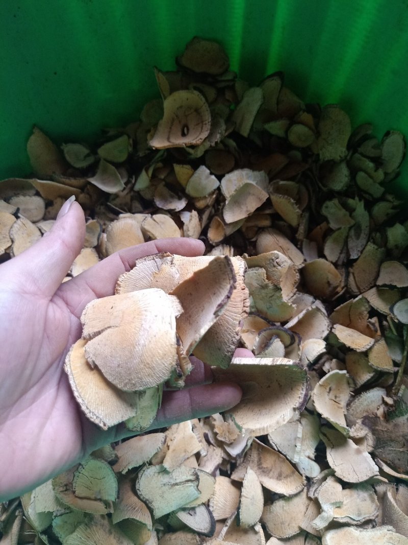青风藤，切片！不包邮