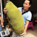 海南菠萝蜜1号黄肉商品一级果合适超市流动摊位拨肉果地直发