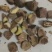 野生山茶籽