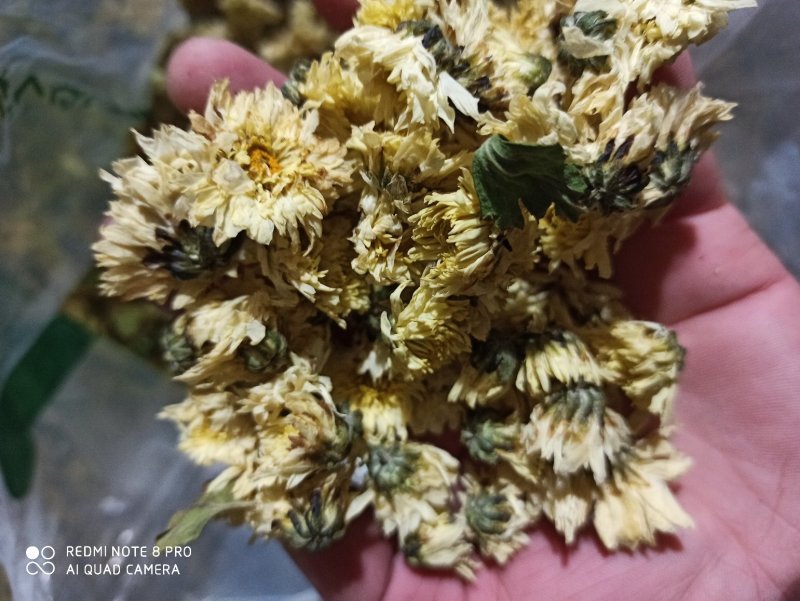 杭州白菊散装正品无硫专营批发