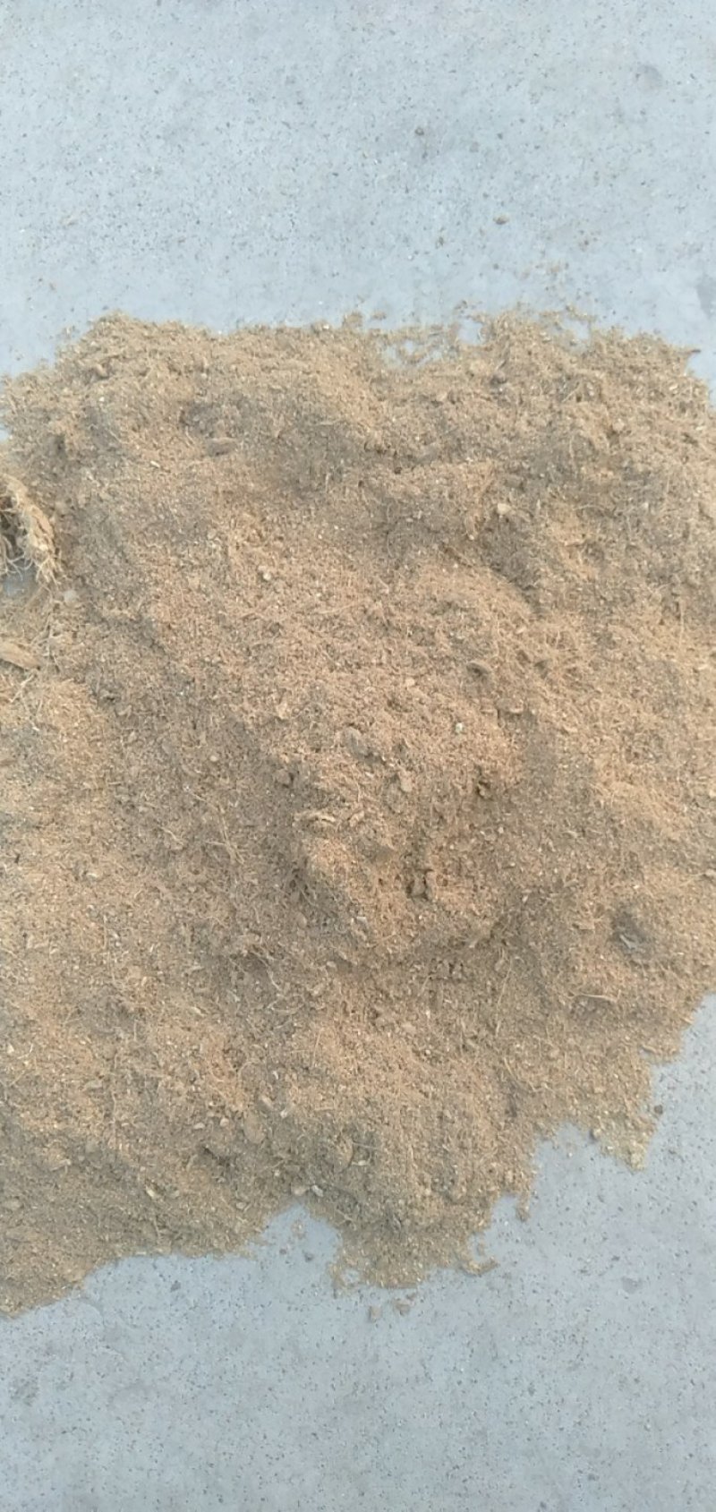 姜粉