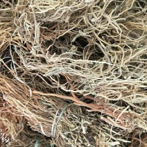龙胆草