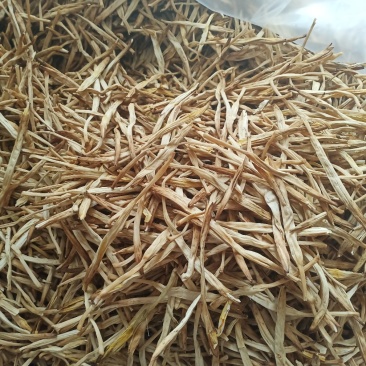 陕西大荔黄花菜产地直供优质原品黄花菜批发