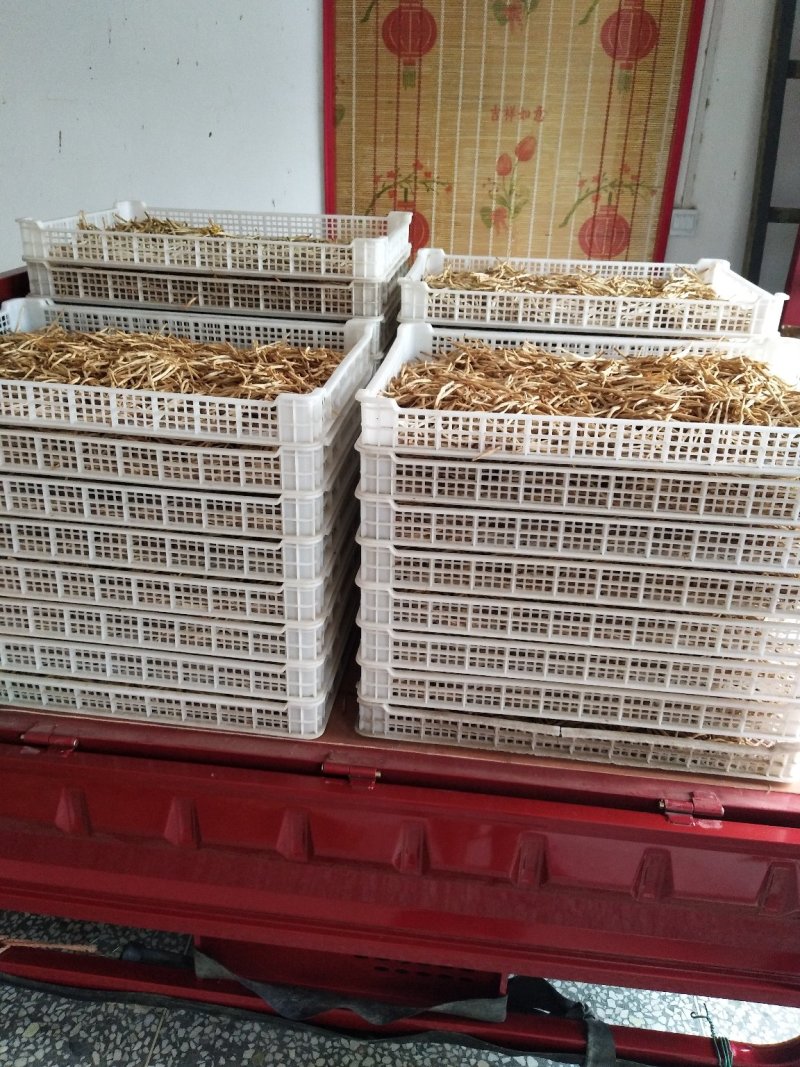 陕西大荔黄花菜产地直供优质原品黄花菜批发