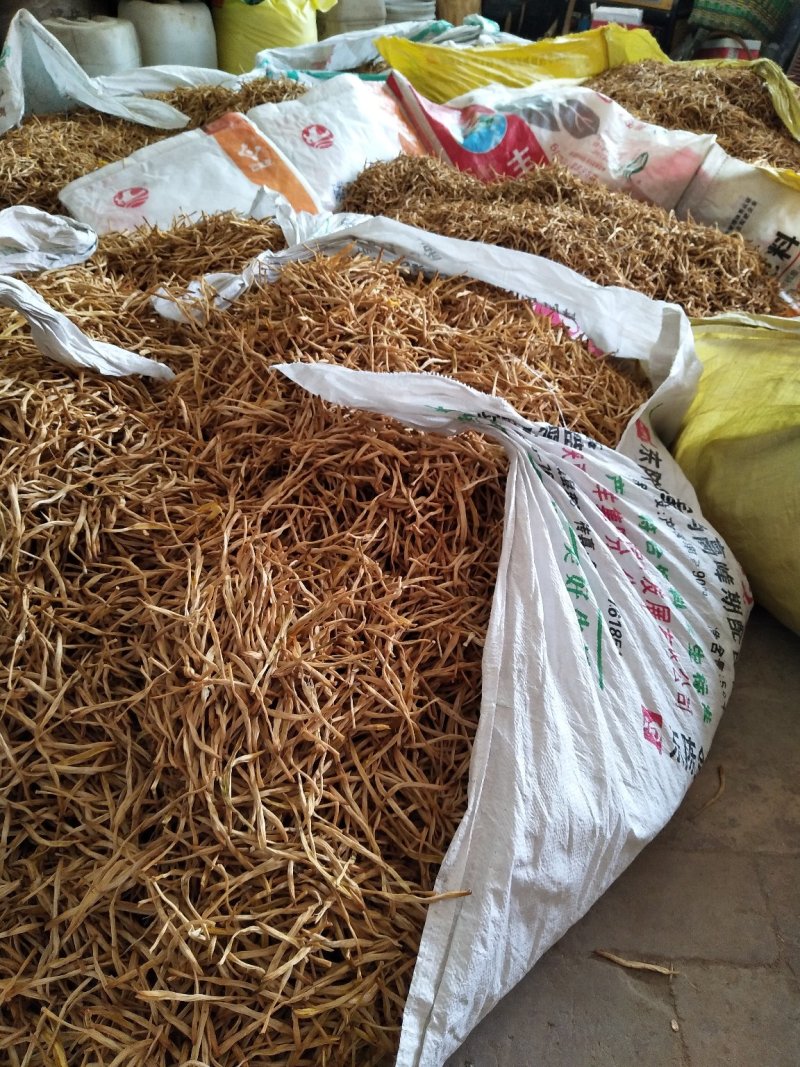 陕西大荔黄花菜产地直供优质原品黄花菜批发