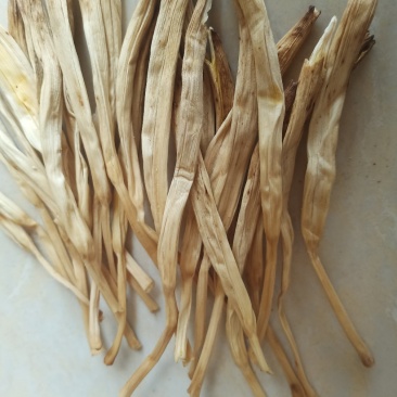 陕西大荔黄花菜常年供应各价位优质黄花菜产地批发