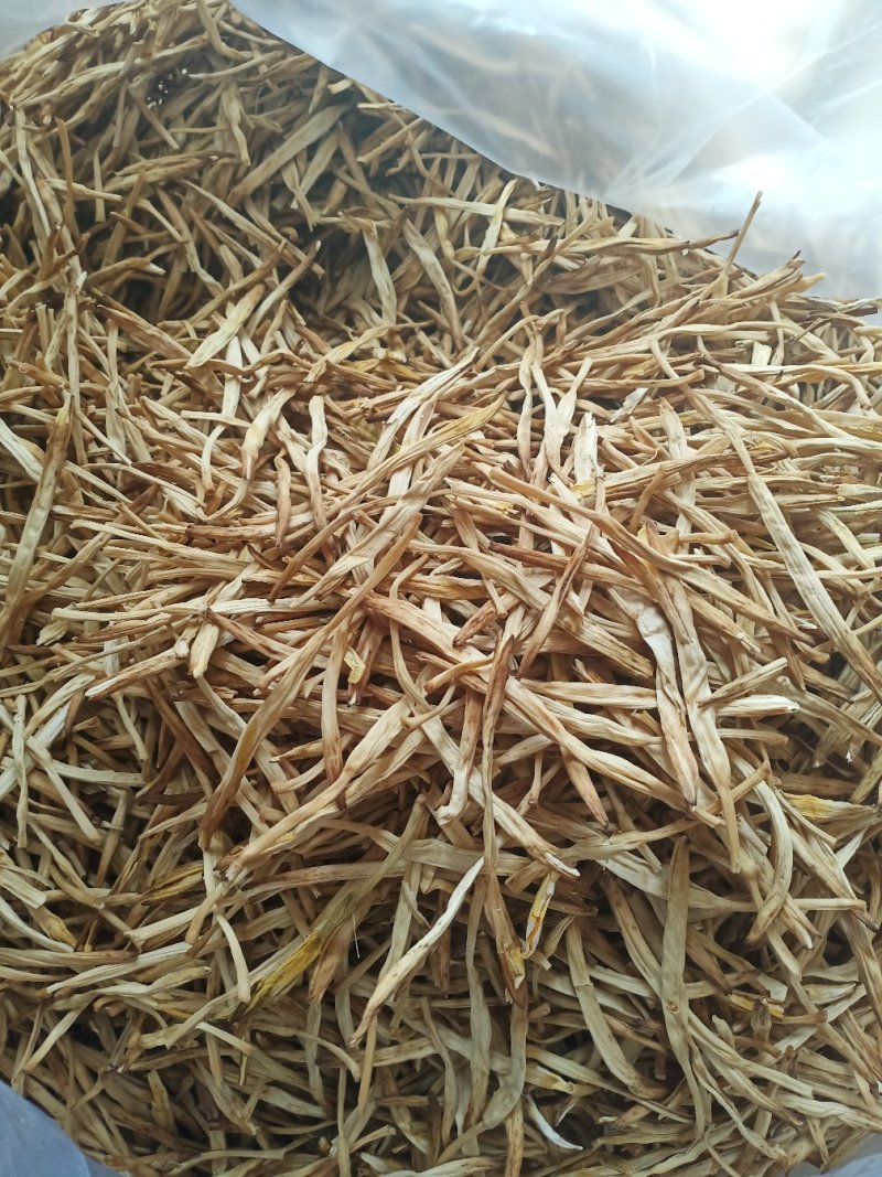 陕西大荔黄花菜常年供应各价位优质黄花菜产地批发