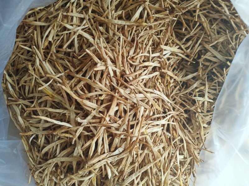 陕西大荔黄花菜常年供应各价位优质黄花菜产地批发