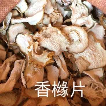 香橼片