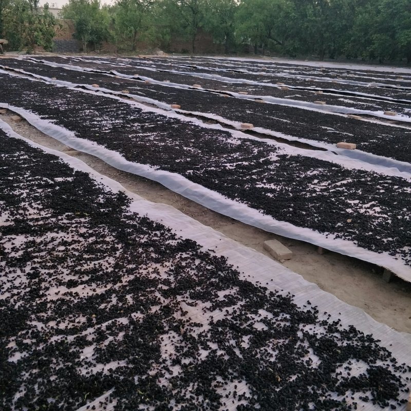 [包邮]产地直发新货桑椹干礼盒装黑桑椹年货送礼放心食