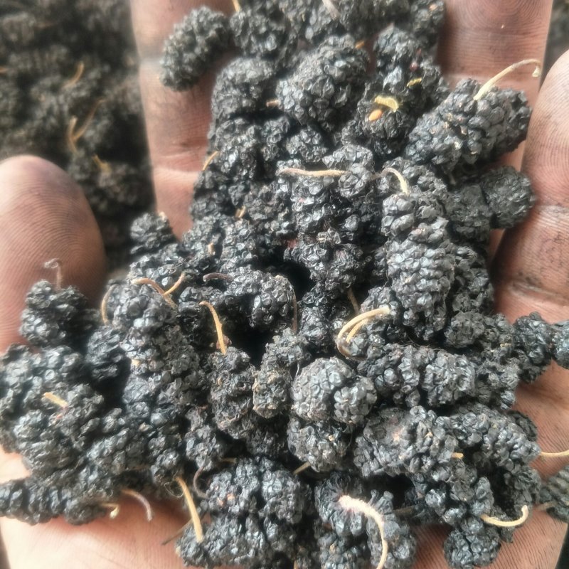 [包邮]产地直发新货桑椹干礼盒装黑桑椹年货送礼放心食