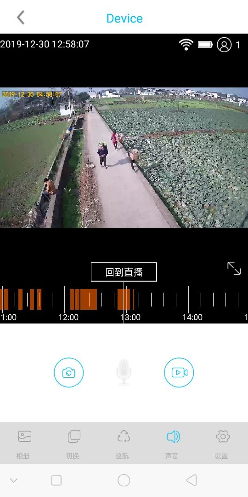 绵阳安州区儿菜150亩已经上市