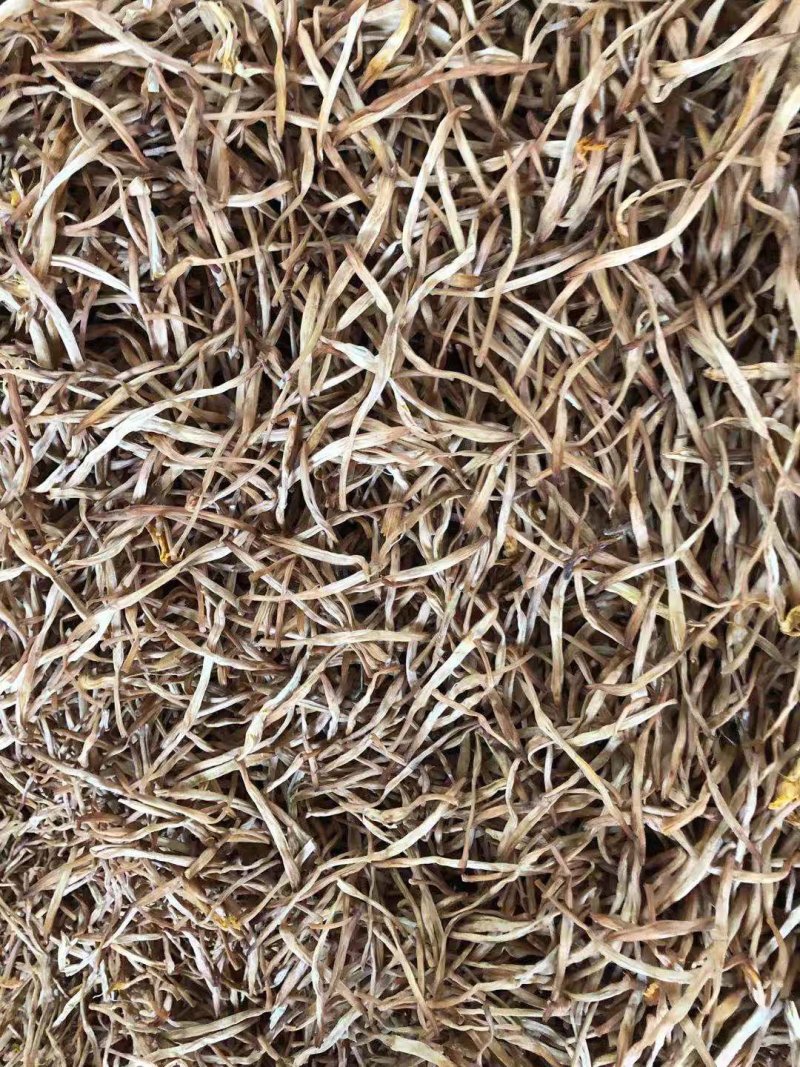 黄花菜常年供应批发及零售各种档次无硫黄花菜