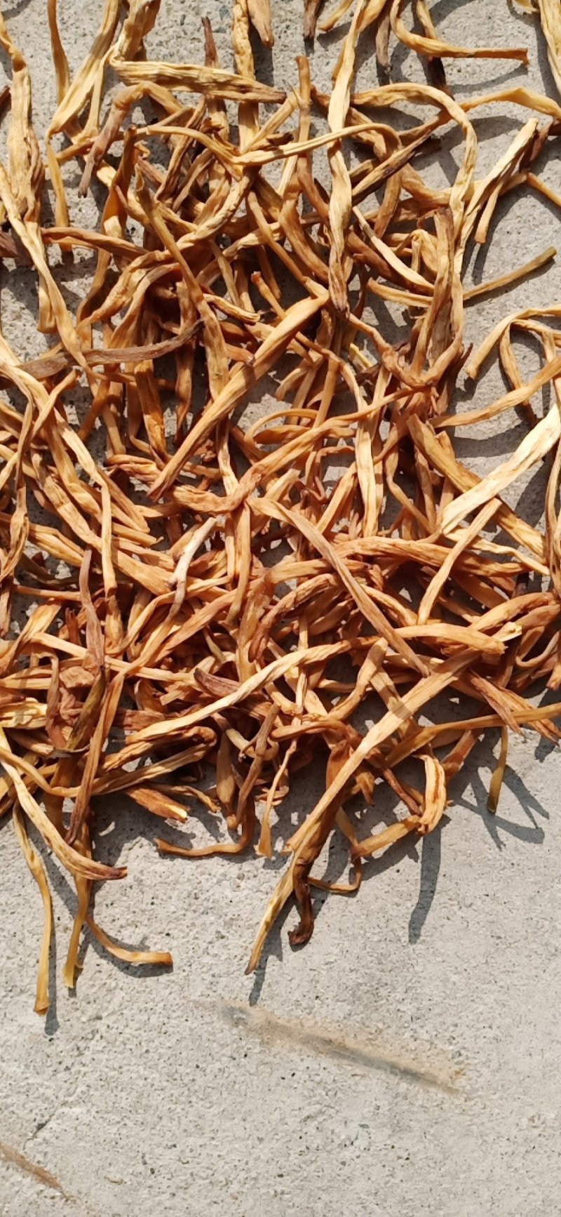 黄花菜常年供应批发及零售各种档次无硫黄花菜