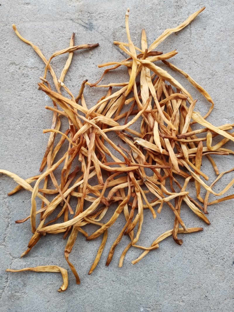 黄花菜常年供应批发及零售各种档次无硫黄花菜