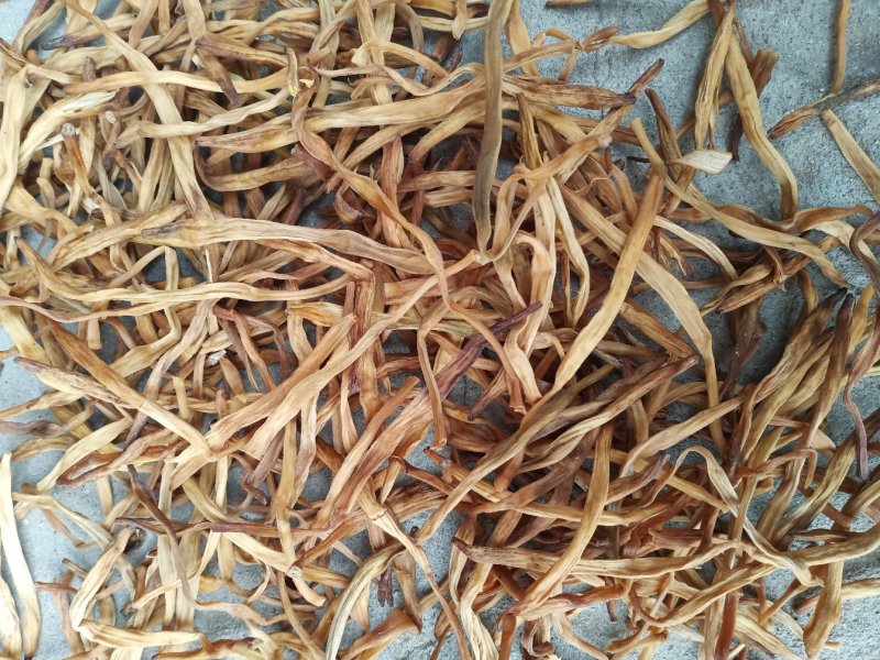 黄花菜常年供应批发及零售各种档次无硫黄花菜