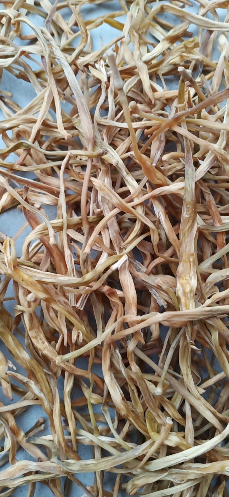 黄花菜常年供应批发及零售各种档次无硫黄花菜