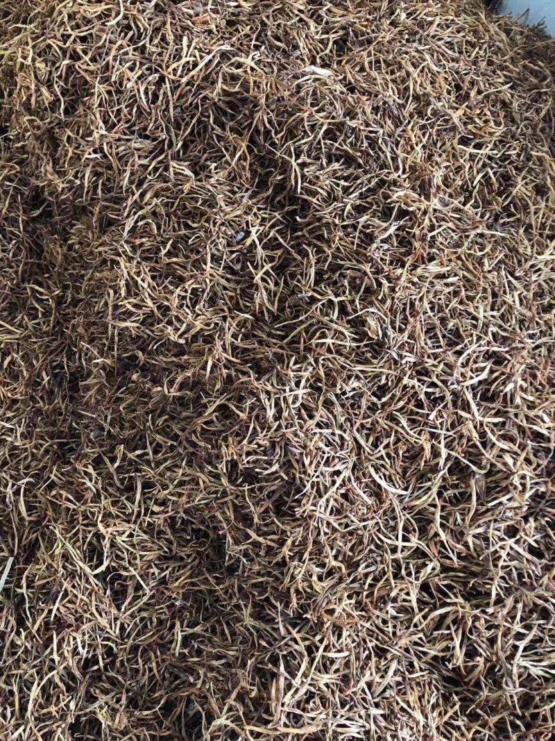 黄花菜常年供应批发及零售各种档次无硫黄花菜