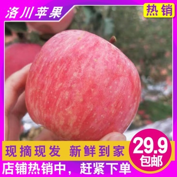 苹果水果陕西苹果洛川苹果零售批发产地直发冰糖心红富士