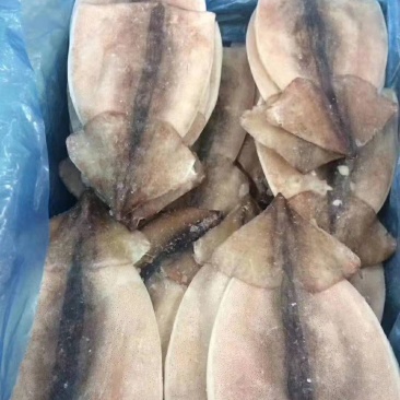 鱿鱼片，原汁鱿鱼片，阿尤鱿鱼片原汁不缩水量大价优
