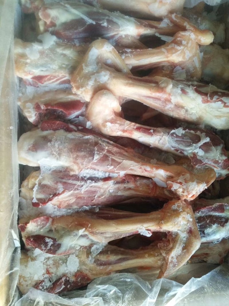 长年批发零售羊后小腿，照片实物拍摄，质量保证欢迎采购洽谈