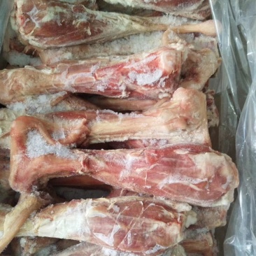 长年批发零售羊后小腿，照片实物拍摄，质量保证欢迎采购洽谈