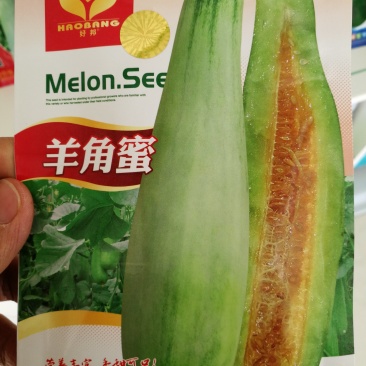 羊角蜜甜瓜种子，品质好，抗病强，市场上热销品种！