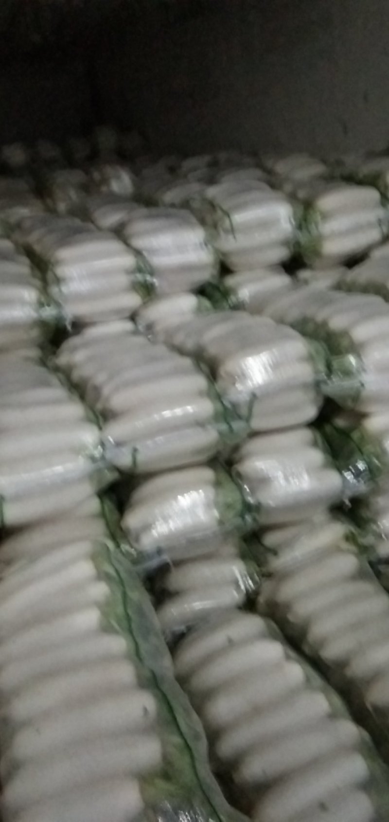白萝卜，精品货出口贸易，电商，商超市场货都有