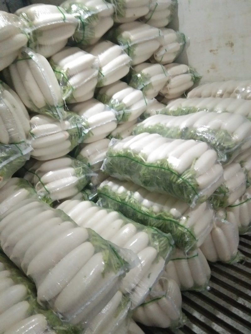 萝卜精品白萝卜条形好，打包散装，有工人打包
