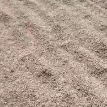稻花香二号稻谷河水灌溉