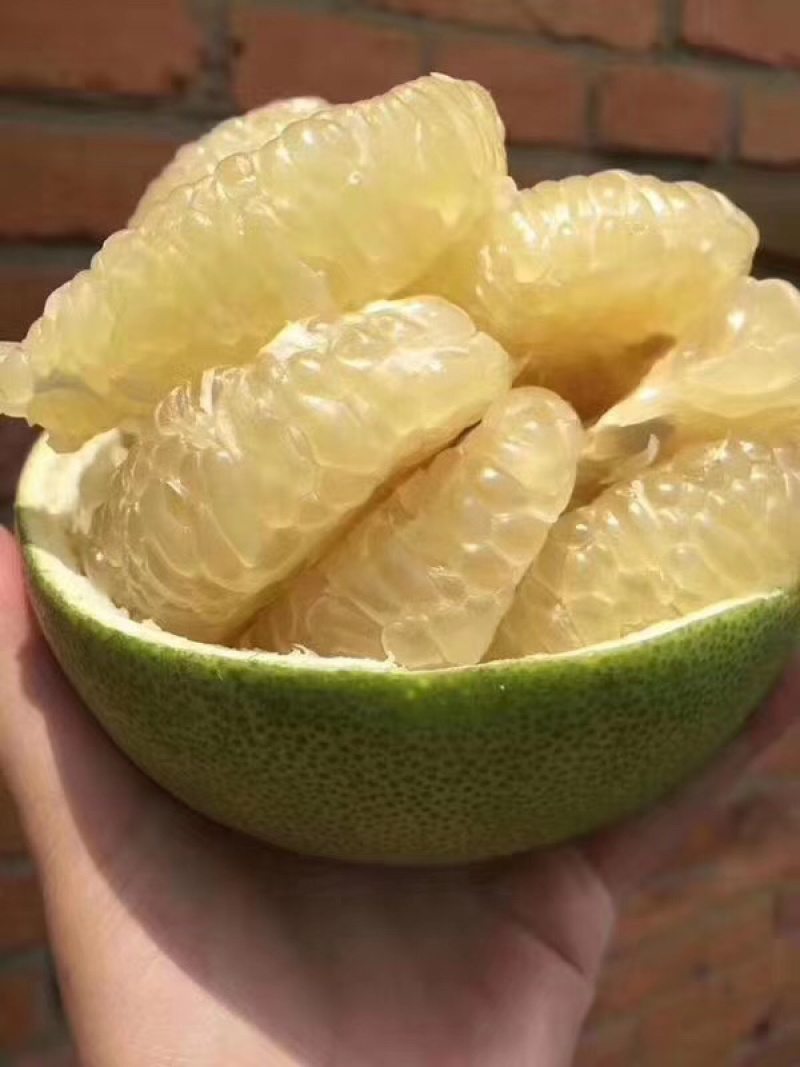 泰国蜜柚泰国白蜜柚水分足口感超好