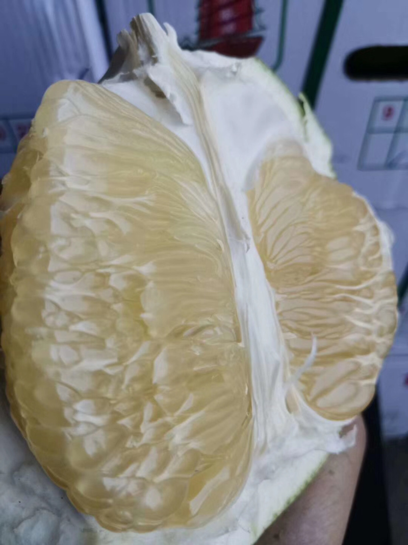 泰国蜜柚泰国白蜜柚水分足口感超好