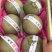 玫珑瓜网纹瓜精品哈密瓜礼盒