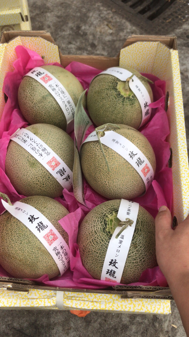玫珑瓜网纹瓜精品哈密瓜礼盒
