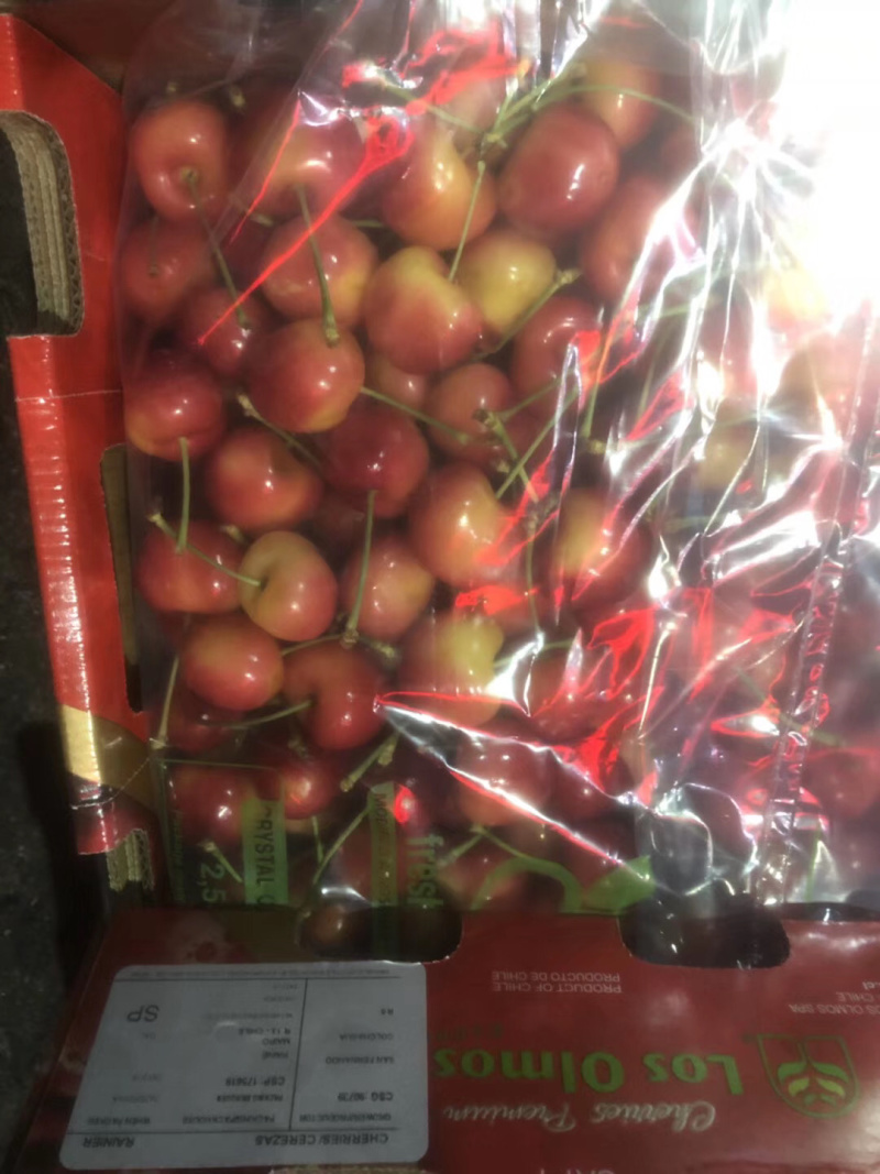 金车厘子