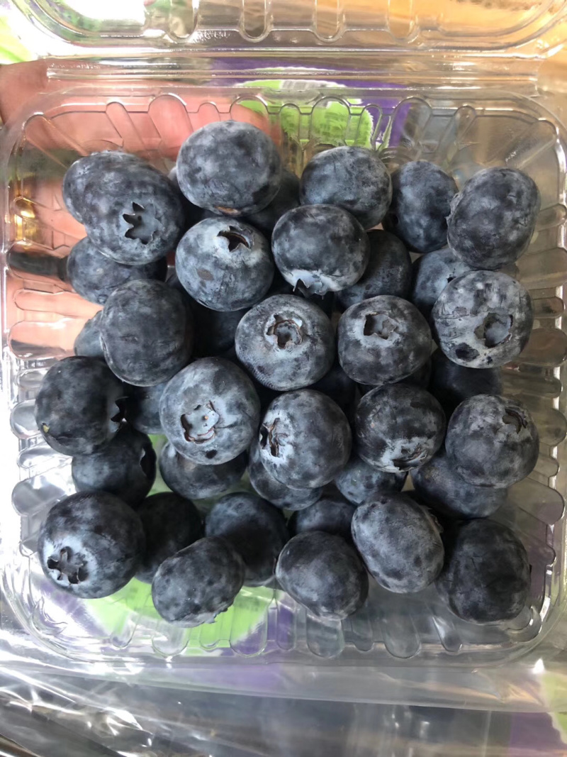 智利蓝莓秘鲁蓝莓新鲜水果