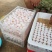 鸽子蛋量大价更优营养丰富非常弹蛋品里的珍品