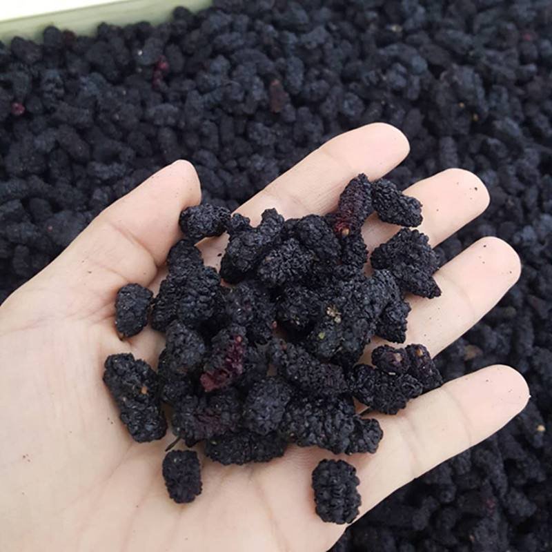 【有好货】桑椹干也包邮桑椹果干农家初选农副产品