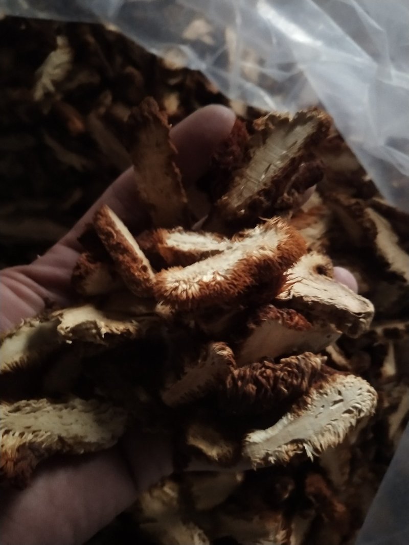 猴头菇切片酒店超市专用请按购买数量拍否则不发货谢谢
