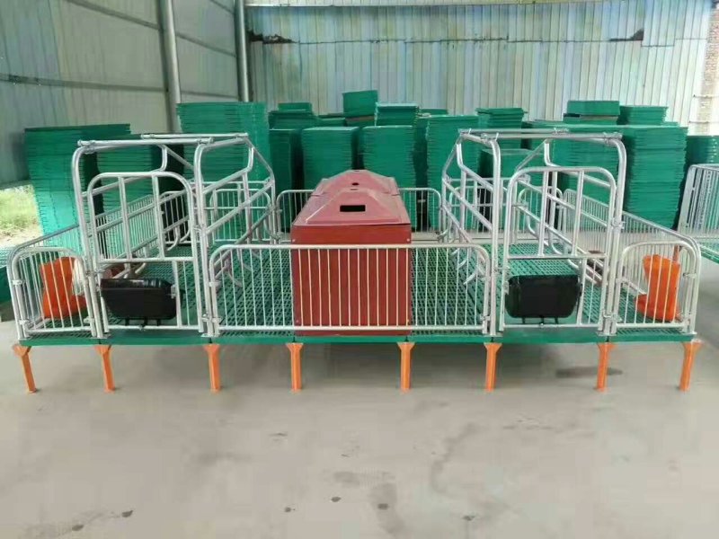 母猪产床母猪定位栏限位栏肉猪定位栏养猪设备