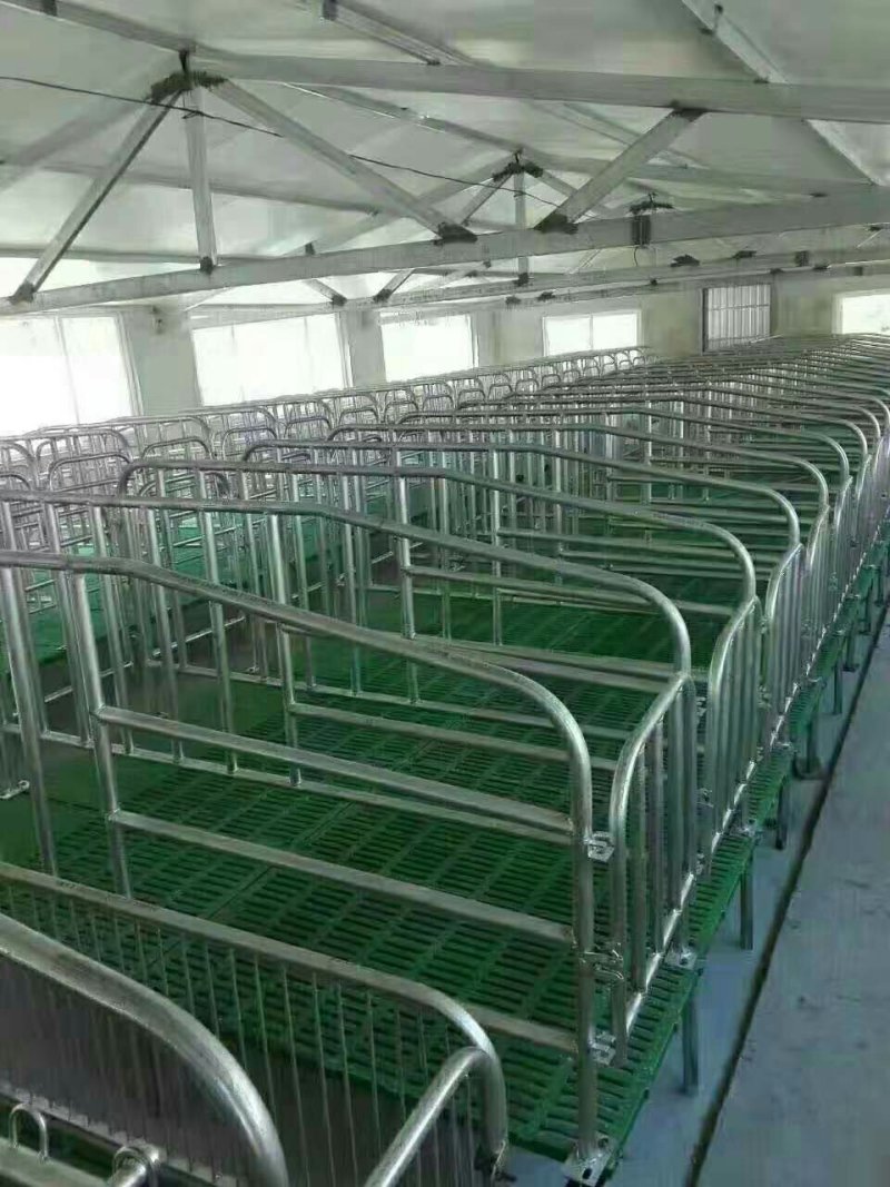 母猪产床母猪定位栏限位栏肉猪定位栏养猪设备
