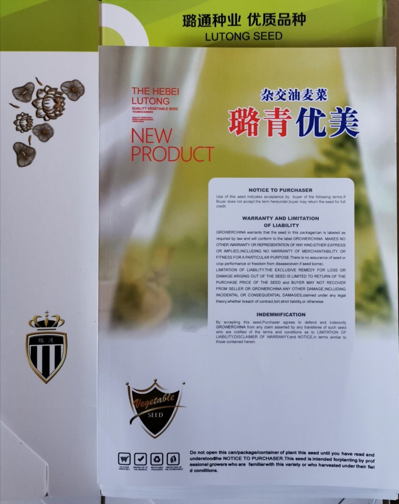 璐青优美油麦菜农田菜园基地蔬菜种子进口油麦菜种子