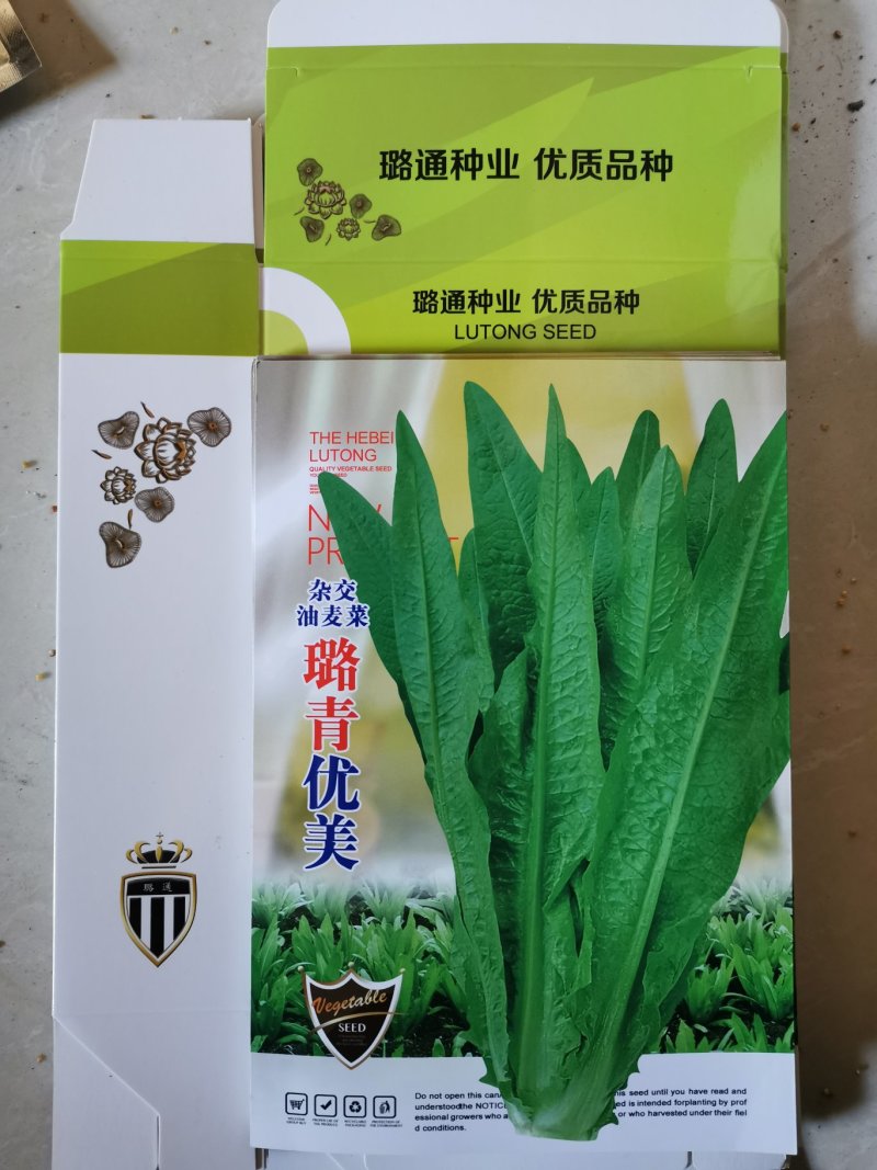 璐青优美油麦菜农田菜园基地蔬菜种子进口油麦菜种子